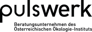 Logo Pulswerk Beratungsunternehmen